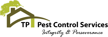 Pest Control Services