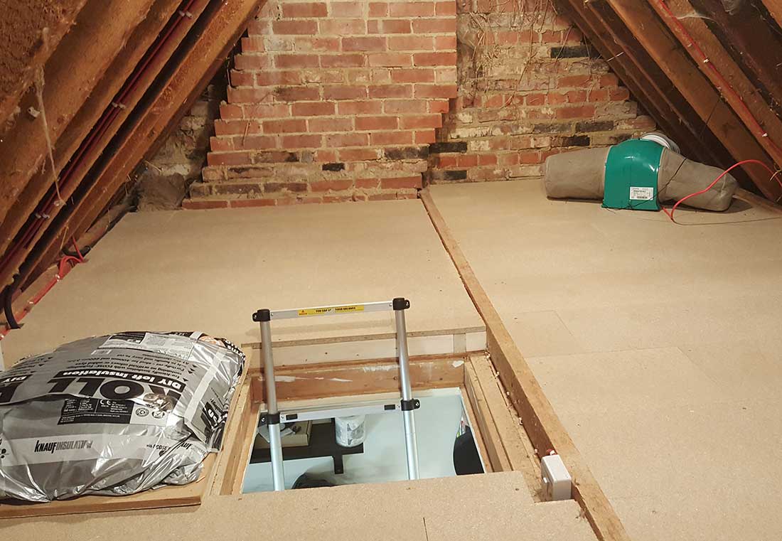 Pest Removal & Loft Clearance Experts